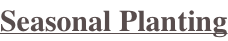 shapeimage_23_link_0