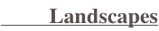 shapeimage_40_link_0
