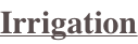 shapeimage_30_link_0