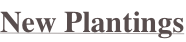 shapeimage_64_link_0